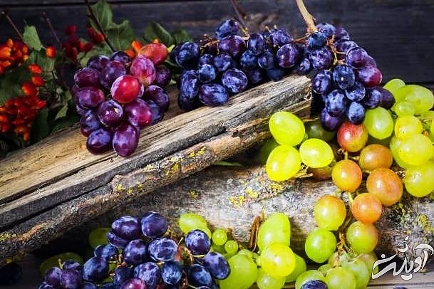 انگور برای کبد چرب